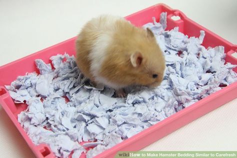 How to Make Hamster Bedding Similar to Carefresh: 6 Steps Diy Hamster Toys, Hamster Diy, Hamster Life, Hamster Habitat, Hamster Bedding, Hamster Care, Rat Cage, Hamster Toys, A Hamster