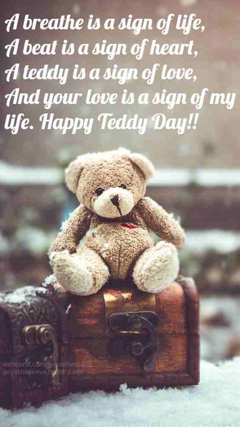 Teddy Day Quotes, Valentines Quotes For Him, Happy Teddy Bear Day, Happy Teddy Day, Happy Teddy Day Images, Teddy Day Images, Teddy Bear Quotes, Valentines Day Quotes For Him, Birthday Wishes For Kids