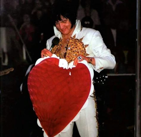 Elvis Happy Valentine's Day Elvis Valentine, Elvis Valentines Day, Elvis Presley 1977, Elvis Jumpsuits, King Elvis Presley, Elvis In Concert, Memphis Tennessee, Elvis Presley Pictures, King Of Music