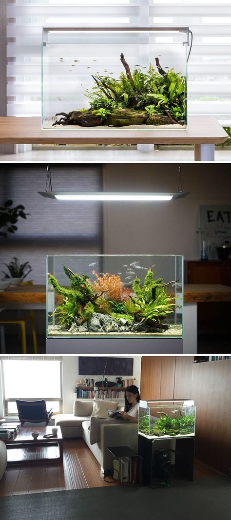 Flat One - The World's Smartest Aquarium Lighting by ONF — Kickstarter Aquarium Interior Design, Aquarium Interior, Aquarium Set, Amazing Aquariums, Taman Air, Aquascape Design, Tropical Fish Tanks, Aquarium Light, Led Aquarium