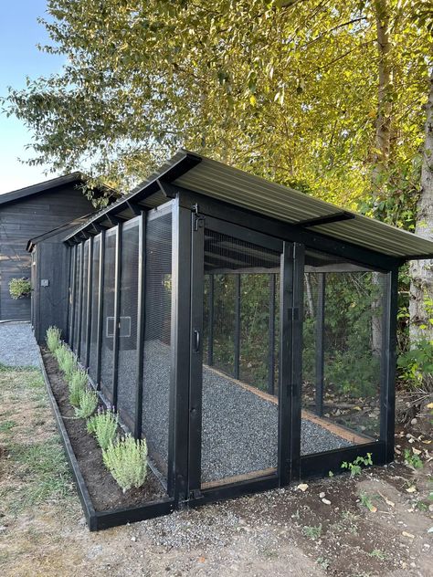 Chicken Coop - Modular Chicken Coop, Cute Chicken Run, Massive Chicken Coop, Vegetable Garden With Chicken Coop, Pavers Around Chicken Coop, All Black Chicken Coop, Safe Chicken Coop Ideas, Backyard Garden And Chicken Coop, Cute Chicken Coupe Ideas