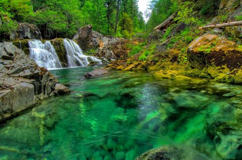 Opal Creek Oregon, Oregon Hikes, Oregon Travel, All I Ever Wanted, Oregon Coast, Pretty Places, Vacation Spots, Travel Usa, Travel Dreams