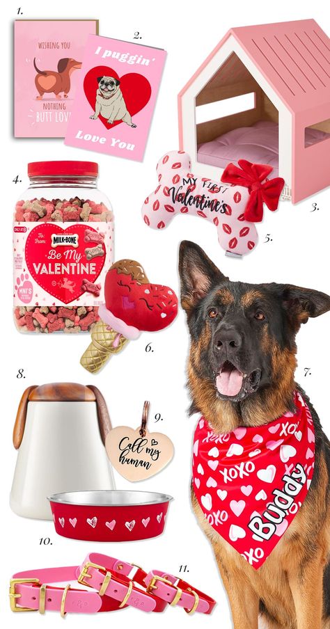 11 Cute Valentine's Gifts for Dogs - Valentine's Day gift ideas for your dog, pampered pooch, spoiled dog, dog lover, fur kids, my dog is my Valentine #valentinesgifts #bemyvalentine #doglover #giftguide #2022 Dog Gift Guide, Pug Valentine, Boxer Dog Gifts, Corgi Plush, Spoiled Dog, My Dog Is My Valentine, Dogs Accessories, Dog Valentine, Dog Accesories