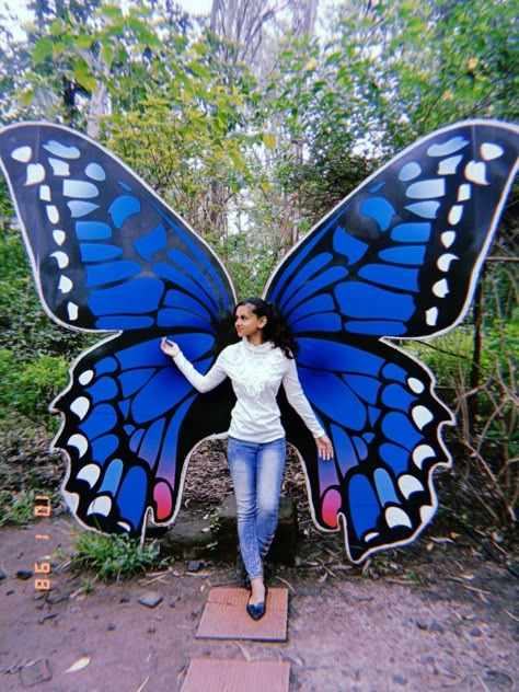 Colorful Art Installations, Massage Room Design, Angel Wings Wall, Diy Wall Art Decor, Perfectly Timed Photos, Pond Design, Diy Backyard Landscaping, Butterfly Theme, Art Drawings For Kids