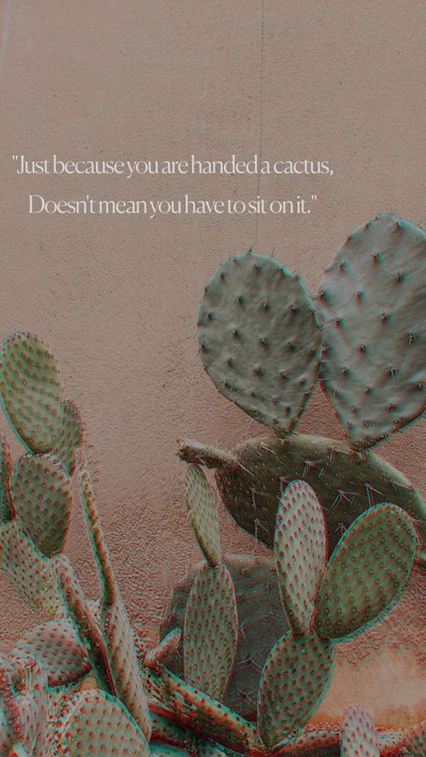 “Just because you are handed q cactus doesnt mean you have to sit on it” Cactus Quotes, Cactus Plants, Cactus, Plants