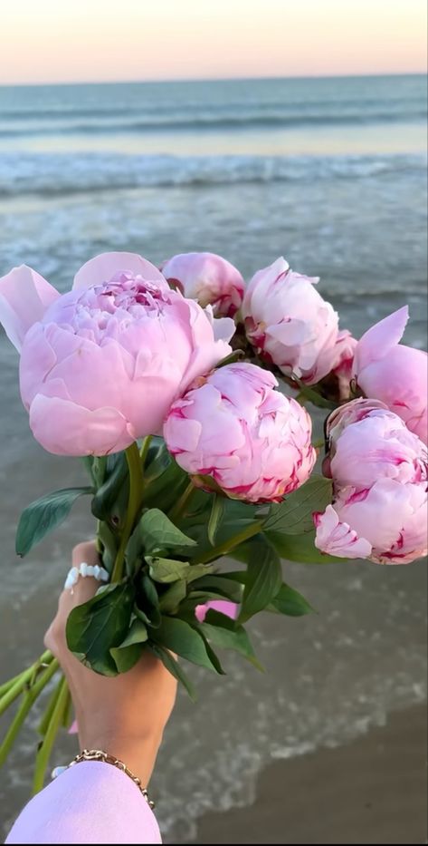 Beach Flowers, Peonies, Flowers, Pink