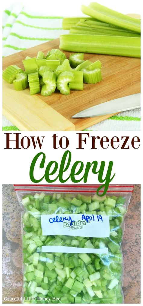 Freeze Celery, How To Freeze Celery, Freezing Food Guide, Freezing Vegetables, Nutella Fudge, Nutella Brownies, Freezer Meal Prep, Keto Brownies, Frozen Veggies