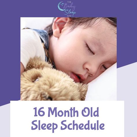 16 Month Old Sleep Schedule: Sleep Schedule, Sleeping Through The Night, Night Sleep, Baby Sleep, To Sleep, Sleep