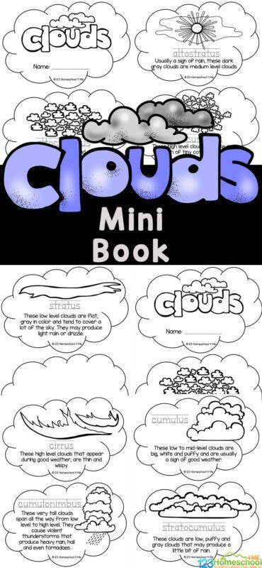 Types Of Clouds For Kids, Clouds Lesson, Hibernation Preschool Activities, Weather Printables, Clouds For Kids, Cloud Types, Kinds Of Clouds, Types Of Clouds, Cloud Activities