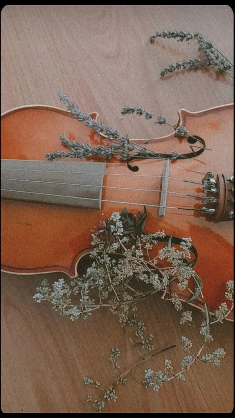 Cello Aesthetic Wallpaper, Colleen Core, Cello Wallpapers, Violin With Flowers, Violin Photoshoot, Cello Aesthetic, Orchestra Aesthetic, Violin Aesthetic, Violin Pics