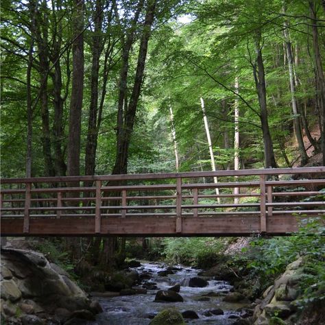 A 10-meters wooden girder structures provide visitors of the interesting hiking and educational trail a picturesque and safe cross of the stream. Out of four bridges we designed, two are built (2018): the first close to the park entrance, while the second is higher up the stream, in a forest reserve.
A crystal clear Bistrica stream created a deep gorge in Pohorje mountains (Slovenia), and hosts a couple of wooden bridges designed by Ponting Bridges. Bridge Over Stream, Wooden Bridge Over Creek, Forest Bridge, Wooden Bridge, Bridge Design, Pedestrian Bridge, Forest Landscape, Eastern Europe, Lawn And Garden