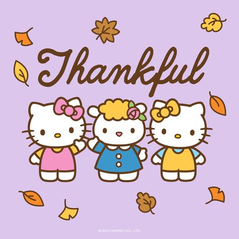 Tag someone you're thankful for 💖 #thanksgiving Thanksgiving Hello Kitty, Thanksgiving Instagram, Hello Kitty Friends, My Melody Kuromi, Shugo Chara, Hello Kitty My Melody, Hello Kitty Collection, Cat Coffee, Sanrio Characters