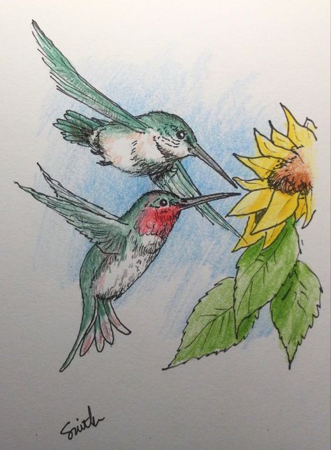 To me there is nothing more lyrical than the sound of hummingbirds humming at the feeder. A pair of Ruby-throated Hummingbirds for the Day 11 #SciArtSeptember #SciArt prompt of #Lyrical. Fire Icons, Ruby Throated Hummingbird, Artistic Inspiration, Nothing More, Wildlife Art, Hummingbirds, The Sound, Drawing Inspiration, Artist Inspiration