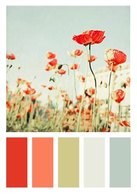 Orange Color Schemes, Orange Color Palettes, Red Colour Palette, Green Color Schemes, Kitchen Colour Schemes, Living Room Color Schemes, Living Room Red, Color Palette Pink, Green Colour Palette