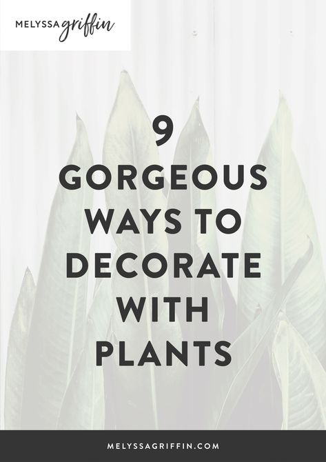 9 Gorgeous Ways to Decorate With Plants - Melyssa Griffin Plant Room Paint Colors, How To Decorate With Plants, Office Plants Ideas Interior Design, Interior Design Ideas For Small Spaces, Plants On Shelves, Plant Rooms, Indoor Plants Decor Living Room, Decorate With Plants, Melyssa Griffin