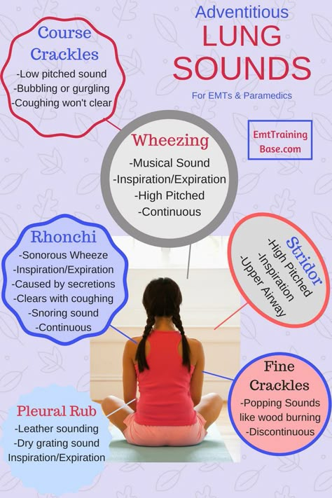 Auscultating Lung Sounds, Emt Training, Emt Study, Lung Sounds, Breath Sounds, Nursing Information, Nurse Study Notes, Nursing Mnemonics, Nursing Student Tips