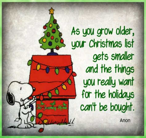 true story... Charlie Brown Quotes Christmas, Charlie Brown Christmas Quotes, Merry Christmas Charlie Brown, Charlie Brown Quotes, A Charlie Brown Christmas, Xmas Quotes, Barbie Quotes, Patience Quotes, Snoopy Images