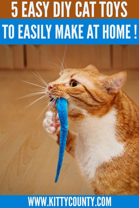 What Cat Lover Doesn't Like To Spoil Their Feline?. Try These 5 Easy DIY Interactive Cat Toys That You Can Make Easily Using Materials Like Toilet Paper Roll, Yarn, Felt etc That Are Easily Available In Every Household. #crazycats #crazycatlady #diycattoys Diy Cat Toys Easy, Katt Diy, Cat Diy Crafts, Homemade Cat Toys, Crochet Cat Toys, Diy Pet Toys, Diy Cat Toys, Pet Tips, Cats Diy Projects