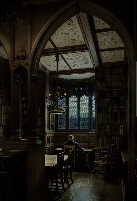 Harry Potter Aesthetic Dark, Dark Harry Potter Aesthetic, Diagon Alley Aesthetic, Library Book Aesthetic, Harry Potter Aesthetic Slytherin, Dark Library Aesthetic, Supernatural Diy, Dark Harry Potter, Old Library Aesthetic