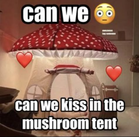 Mushroom Tent, Can We Kiss, Happy Happy Happy, Cute Messages, The Mushroom, Me And Who, Wholesome Memes, Lovey Dovey, Love Memes