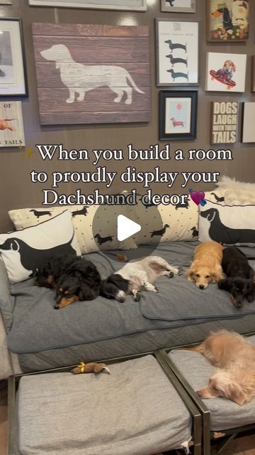 Ruffhouse Dachshunds on Instagram: "Dachshund lovers can relate😆I’m a sucker for buying any and all dachshund artwork & nicknacks🤪And so many are cherished gifts I’ve received over the years. 
We are very close to being finished with our dogroom expansion/renovation will be so happy when complete!👍🏻♥️ #dachshund #dachshundsofinstagram #dachshundpuppy #doxie #dogsofinstagram" Dachshund Artwork, Dachshund Decor, Dachshund Lovers, Dachshund Puppy, So Happy, Over The Years, Dachshund, Dogs, Gifts