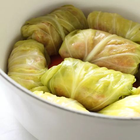 How to Freeze Stuffed Cabbage Rolls Can You Freeze Cabbage, Freezing Cabbage, Ground Turkey Cabbage, Turkey Cabbage, Cabbage Roll Recipe, Braised Chicken Breast, Greek Appetizers, Daniel Fast Recipes, Cabbage Roll