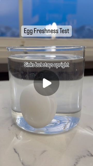 Egg Test, Egg Hacks, Food Safety Tips, Health Myths, Food Science, Healthy Families, The Egg, Food Safety, Healthy Nutrition