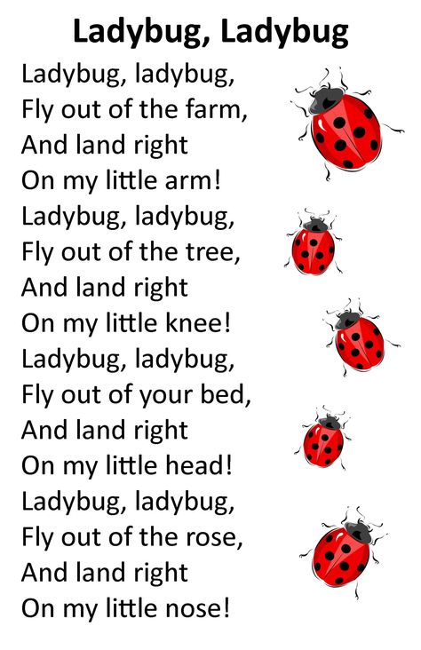 Insects Preschool, Bugs Preschool, Circle Time Songs, Classroom Songs, Songs For Toddlers, Bug Crafts, The Ladybug, Rhymes Songs, Flannel Board