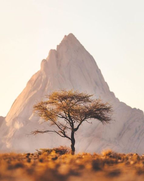 Karl Shakur, Namibia Travel, Namib Desert, Video Project, Landscape Pictures, Southern Africa, Canon Photography, Travel Tours, Africa Travel