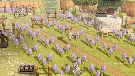 Lavender Fields Animal Crossing, Acnh Diagonal Flower Field, Animal Crossing Lavender Field, Acnh Lavender Fields, Acnh Flower Field, Acnh Lavender, Acnh Builds, Acnh Inspiration, Acnh Design