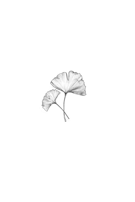 Ginko Leaf Tattoos Design, Ginko Leaf Tattoo Minimalist, Ginkgo Tattoo Minimal, Ginko Biloba Tattoo, Bonsai Tattoo Minimalist, Ginko Leaves Tattoos, Ginko Leaf Design, Ginko Leaf Tattoo, Gingko Leaves Tattoo