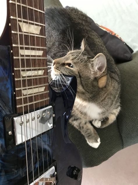 Guitar Boyfriend, Aesthetic Electric Guitar, Study Abroad Aesthetic, Abroad Aesthetic, London Boy, Dreamy Landscapes, Sensitive People, Black Cats, Study Abroad