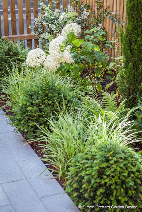 Driveway Planting Ideas, Driveway Planting, Front Yard Planters, Gravel Drive, Yard Planters, Hydrangea Arborescens Annabelle, Garden Ideas Uk, Orchard Garden, Court Yard