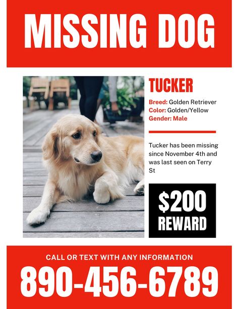 Excited to share this item from my #etsy shop: Missing Dog Poster #missingdogposter #lostdogposter #missingdog #lostdog Dog Template, Dog Words, Poster Template Free, Animal Templates, Lost Cat, Dog Poster, Pet Signs, Flyer Design Templates, Losing A Dog