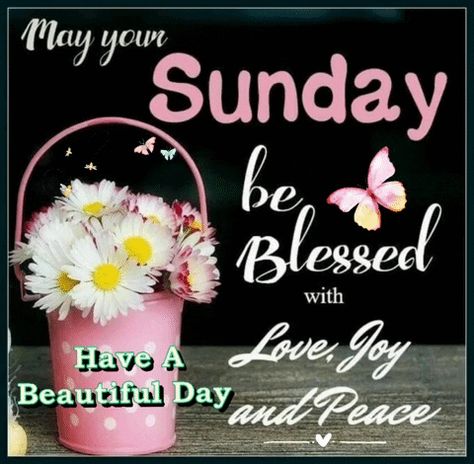 Sunday Wishes Images, Blessings Gif, Good Morning Sunday Pictures, Happy Sunday Photos, Sunday Morning Images, Sunday Gif, Sunday Morning Wishes, Blessed Sunday Morning, Good Morning Sunday Images