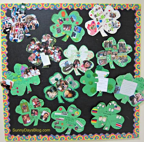 Lucky Family Project:  Send a Shamrock shape home and have families work together to decorate the Shamrock.  Printable and everything you need is here from Sunny Days in Second Grade.  Great idea! March Bulletin Board, March Themes, March Crafts, Spring Bulletin, Teaching Holidays, March Activities, Spring Bulletin Boards, Preschool Bulletin, St Patrick's Day Crafts