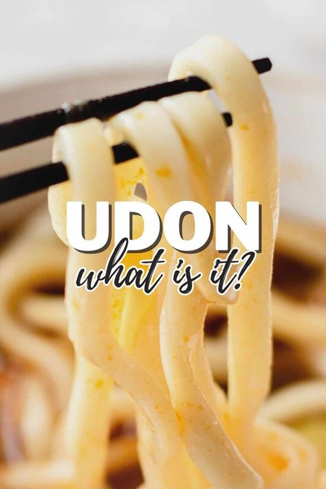 Satisfy those udon cravings! You will love these flavorful Japanese udon noodle recipes. From hot soups to refreshing cold dishes, there are many ways to enjoy these chewy noodles! Udon Noodle Recipes, Udon Recipes, Udon Soup Recipe, Chewy Noodles, Healthy Japanese Recipes, Udon Noodles Recipe, Japanese Udon, Fried Udon, Udon Recipe