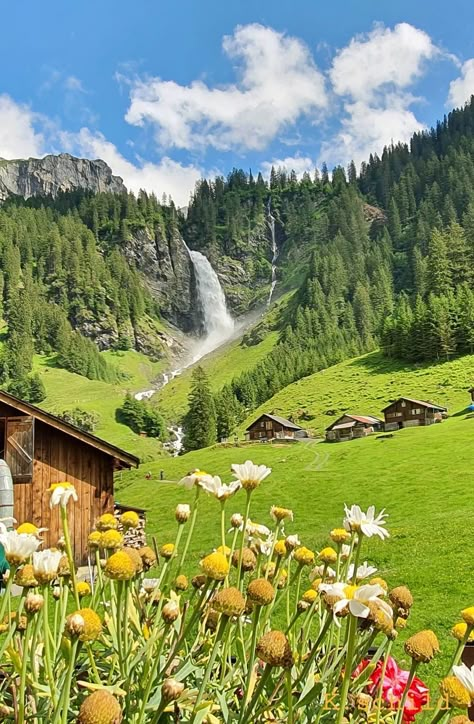 Switzerland Landscape Photography, Beautiful Scenery Nature Peace, Swiss Flowers, Beautiful Landscape Photography, Landscape Photography Nature, Pretty Landscapes, Beautiful Scenery Nature, Beautiful Places In The World, Alam Yang Indah