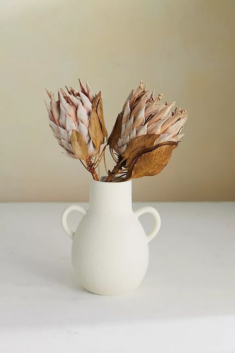 Dried King Protea Stems, Blush Set of 2 | Anthropologie Dried Protea, Pink Protea, Tropical Bouquet, King Protea, Spring Celebration, Dry Plants, Pink Fits, Bhldn Weddings, Eucalyptus Leaves