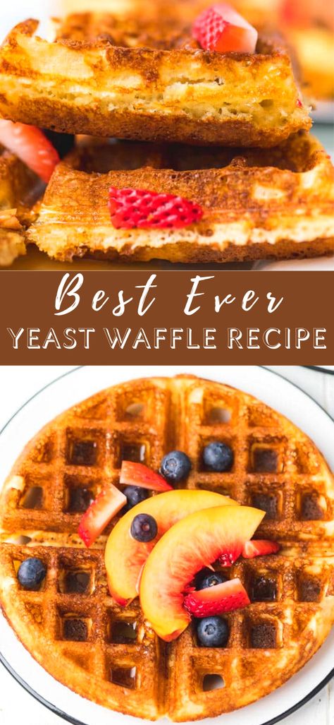 Yeasted Waffle Recipe, Waffles With Yeast Recipe, Belgian Waffle Recipe With Yeast, Yeast Waffles, Crunchy Waffle Recipe, Yeast Waffles Belgian Style, Belgian Waffle Recipe, Yeast Waffle Recipe, Homemade Jaffa Cakes