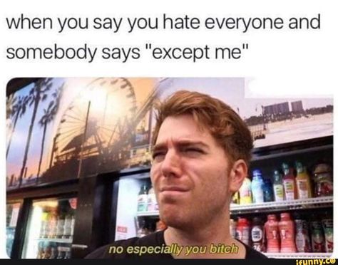 Shane Dawson Memes, Celebrity Memes, Hate Everyone, Shane Dawson, School Memes, Hilarious Memes, Fresh Memes, Memes Humor, Seinfeld