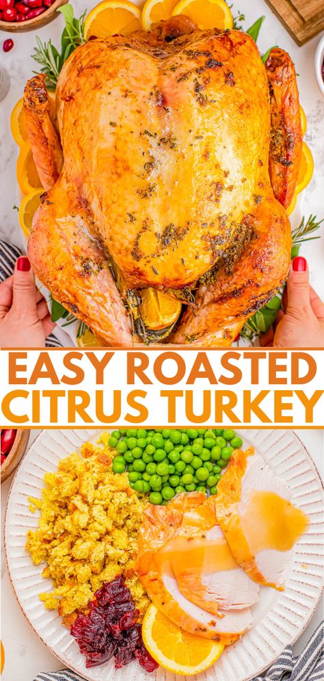 Easy Oven Roasted Citrus Turkey - 🍋🍊🦃 This EASY turkey recipe makes the JUICIEST and most FLAVORFUL roast turkey that everyone loves! The cavity is stuffed with aromatics including a lemon, an orange, fresh herbs, and the skin is coated in a citrus herb butter so it's moist AND bursting with FLAVOR! This is a SIMPLE recipe that uses basic ingredients to create a PERFECT Thanksgiving or holiday turkey that your family and friends will rave about for years to come!'s moist AND bursting with ... Easy Roasted Turkey, Citrus Turkey, Thanksgiving Main Dishes, Thanksgiving Main Dish, Thanksgiving Mains, Easy Turkey Recipes, Traditional Turkey, Herb Turkey, Thanksgiving Foods