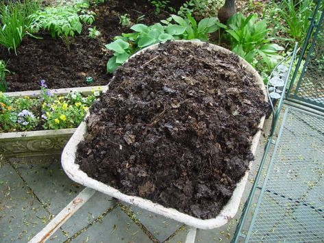 Worm Farm Diy, Plantarea Legumelor, Leaf Mulch, Compost Mulch, Leaf Mold, Diy Leaves, Historic House, Lawn And Landscape, Home Vegetable Garden