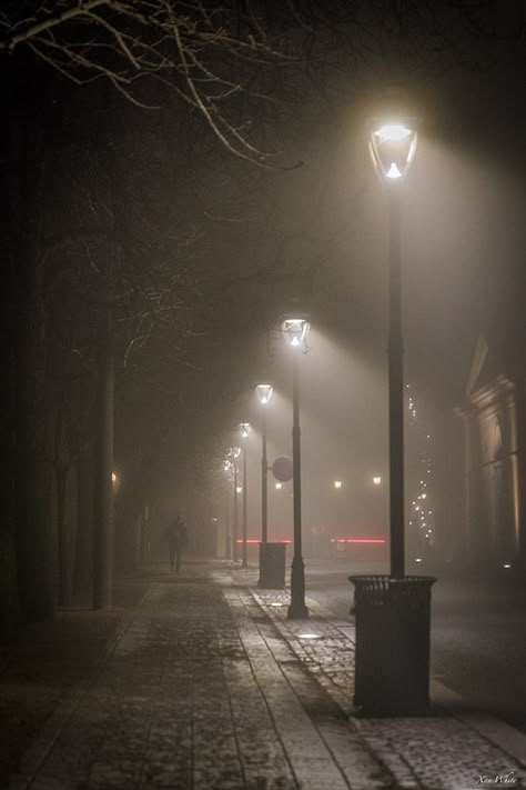 Street lights by xanwhite305 Lamp On The Street, City Lamp Street Lights, Night Street Lights Aesthetic, Street Light Tattoo, Street Lamp Wallpaper, Street Lamp Photography, Street Lamp In The Fog, Light And Dark Photography, Street Light Wallpaper