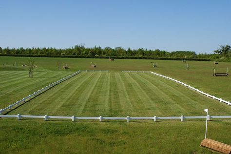 Grass Arenas...The pros and cons Arena Footing, Horse Riding Arena, Dressage Arena, Riding Arena, Paddock Paradise, Horse Arena, Riding Arenas, Horse Boarding, Horse And Rider