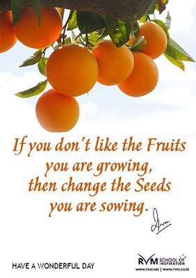 If you don't like the Fruits you are growing, then change the Seeds you are sowing. Point Of View Quotes, Seed Quotes, Fruit Quotes, I Love You God, View Quotes, Garden Quotes, Dream Quotes, Bible Verses Quotes, Quotes About God