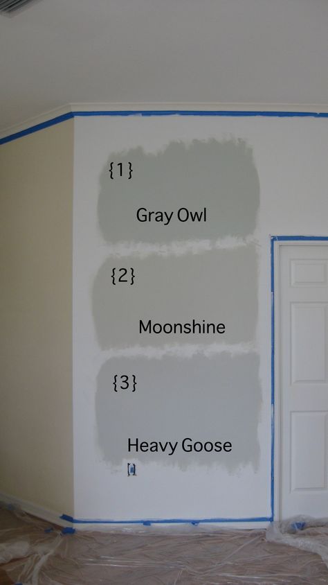 Gray Owl, Moonshine, Heavy Goose Bm Moonshine Paint, Alaskan Husky Benjamin Moore, Benjamin Moore Moonshine, Owl Bathroom, Ideas For Furniture, Manchester Tan, Interior Paint Colors For Living Room, Beige Paint Colors, Benjamin Moore Gray