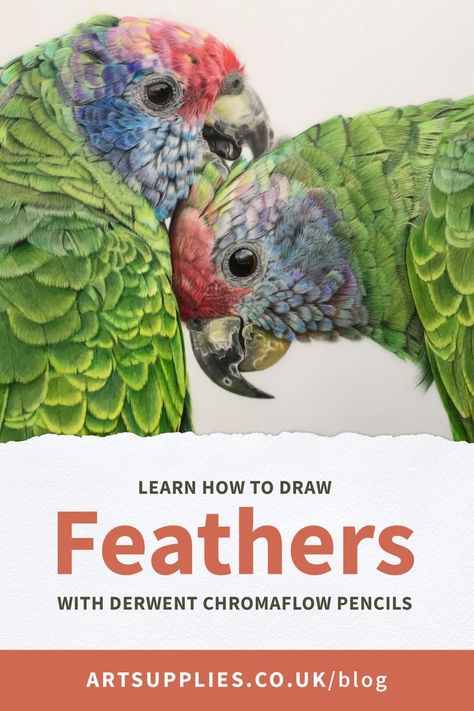 How To Draw Feathers, Colored Pencil Drawing Tutorial, Intense Art, Colored Pencil Art Projects, Watercolor Pencil Art, Feather Drawing, Feather Texture, Rock Painting Tutorial, Colored Pencil Tutorial