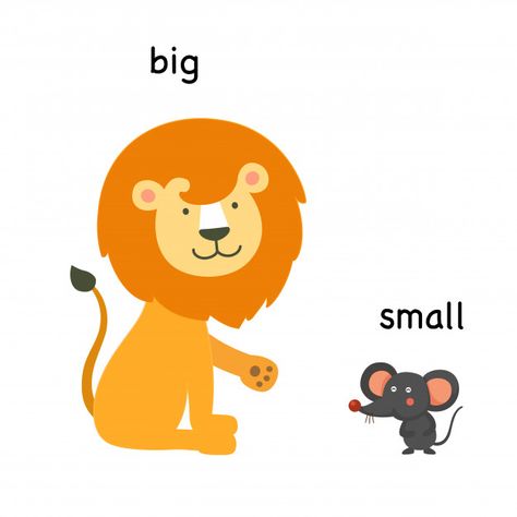 Big And Small Activities, Big And Small Activities Preschool, Opposites For Kids, Ingles Kids, Kindergarten Reading Activities, Alphabet Kindergarten, Opposite Words, Learning English For Kids, Flashcards For Kids