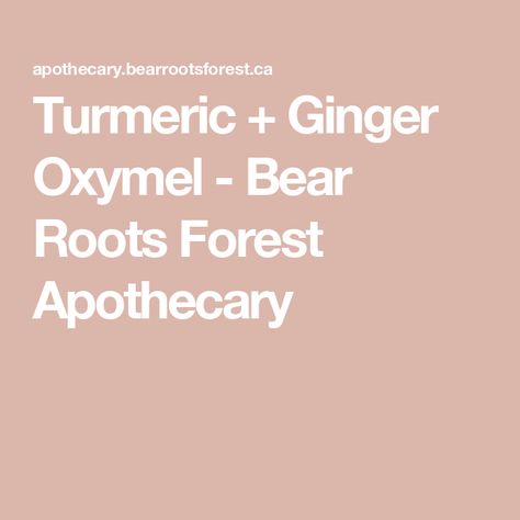 Turmeric + Ginger Oxymel - Bear Roots Forest Apothecary Ginger Oxymel, Elderberry Oxymel, Ginger Tincture, Forest Apothecary, Ginger Roots, Health Tonic, Winter Wellness, Vinegar And Honey, Food Medicine